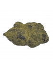 MoonRock 30% CBN (ultra tendre)