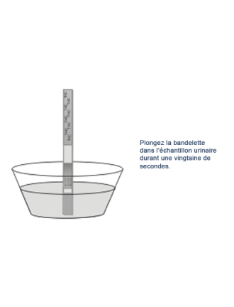 Test urinaire THC