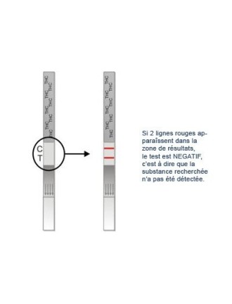 Test urinaire THC