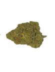 Jack Berry 14% CBD