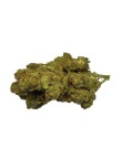 Amnésia 8% CBD