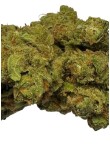 Amnésia 8% CBD