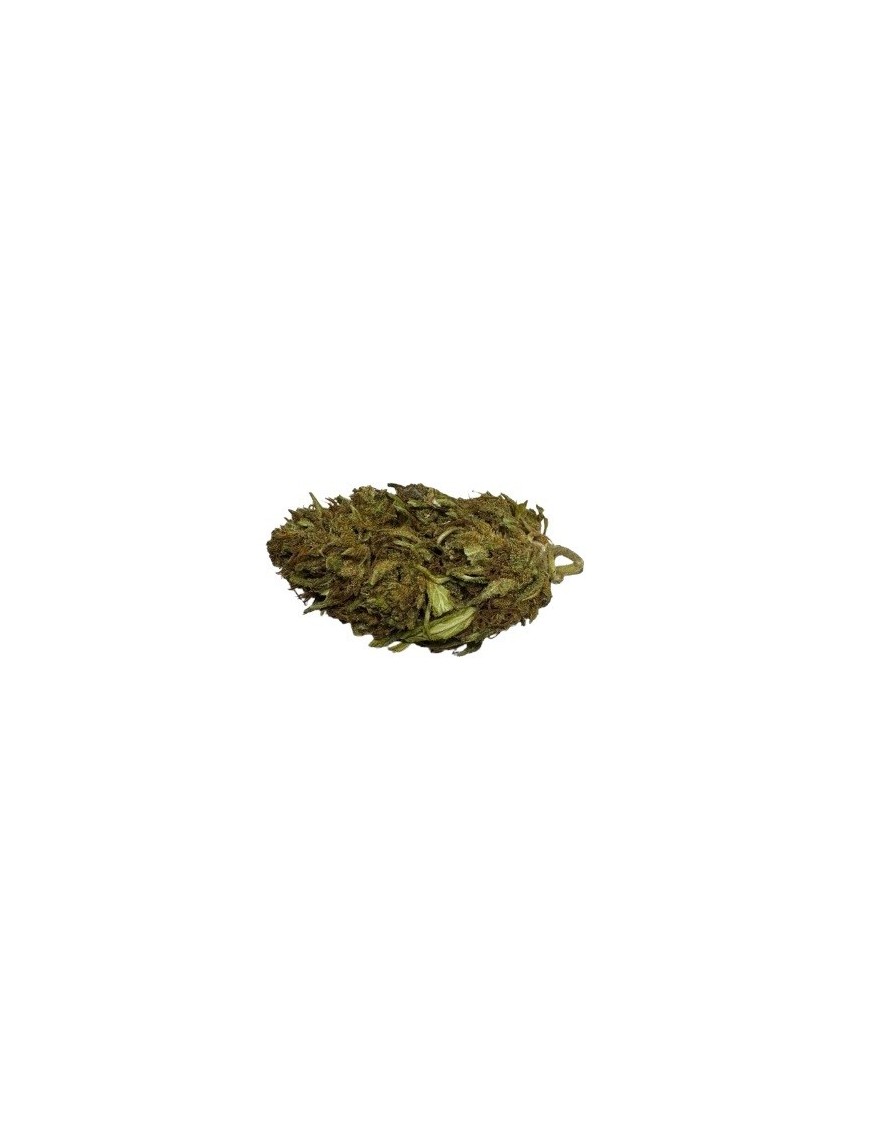 SYLVER BIO 10% CBD