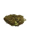 SYLVER BIO 10% CBD