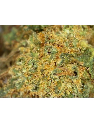 Skunk Chill 17% CBD