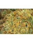 Skunk Chill 17% CBD