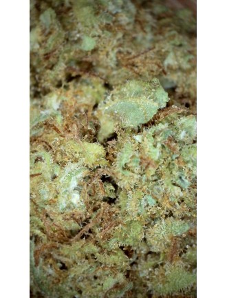 Mini Cannatonic 5% CBD