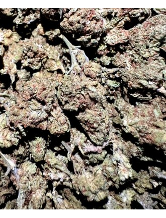 Mini Cannatonic 5% CBD