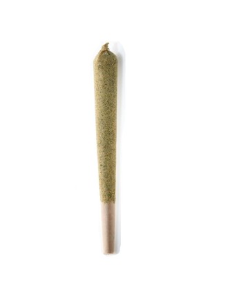 Pré-roulé CALI CBD