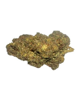 Kosher CBC H1