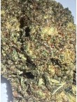 Kosher CBC H1