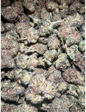 Mini Kosher CBC H1