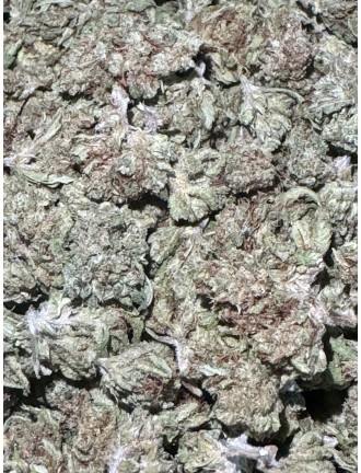 Mini Ghost Train 7% CBD