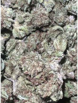 Mini Ghost Train 7% CBD