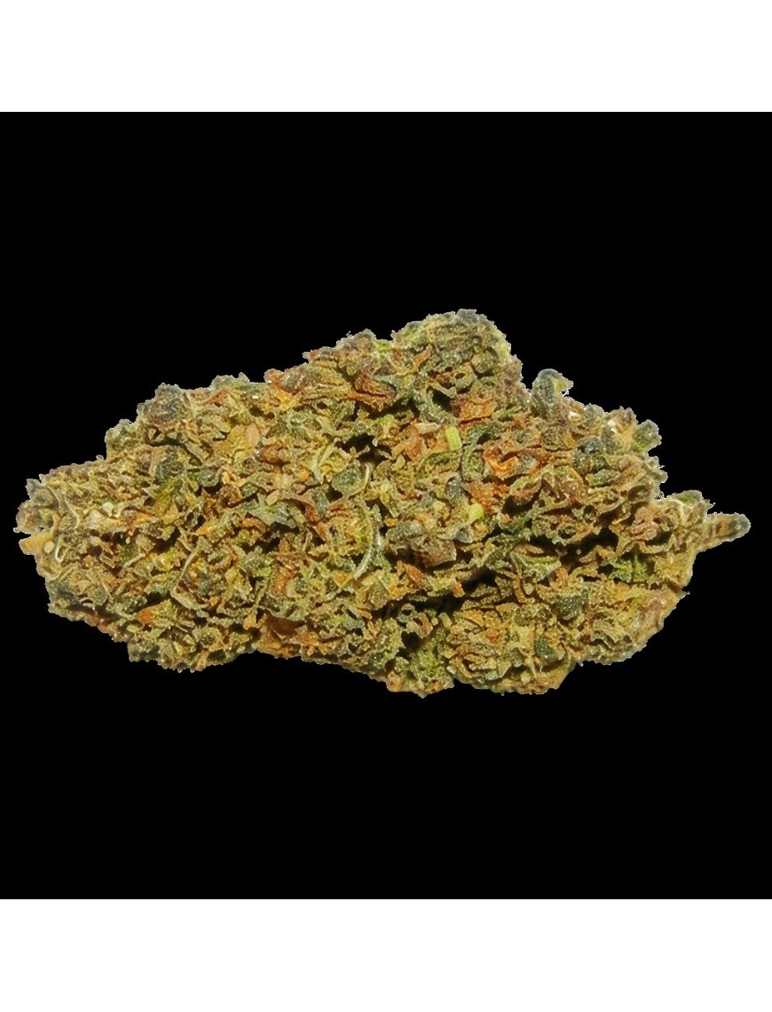 Lemon Cherry Gelato CBC H1