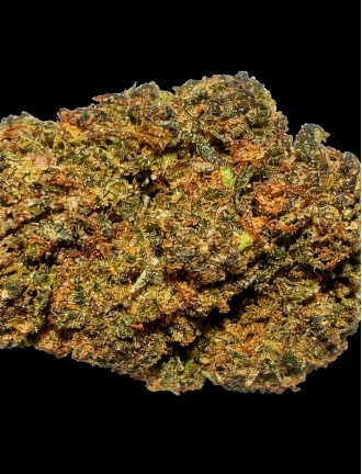 Lemon Cherry Gelato CBC H1