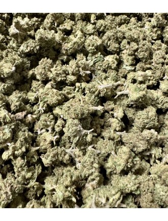 Remedy 3.0 20% CBD
