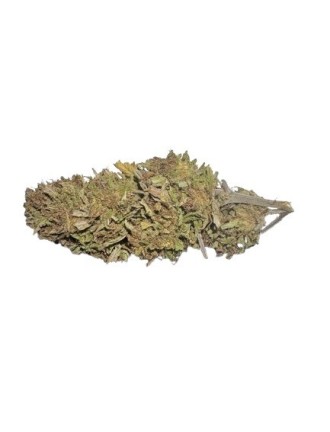 Cool Bud 6% CBD
