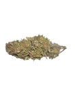 Cool Bud 6% CBD
