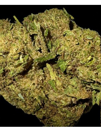 Amnésia Gold 15% CBD