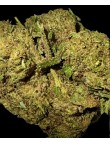 Amnésia Gold 15% CBD