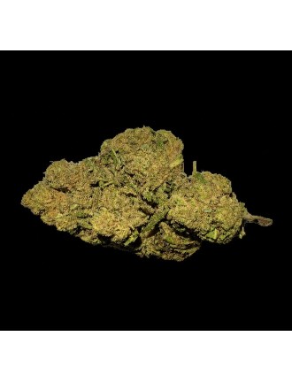 Amnésia Gold 15% CBD