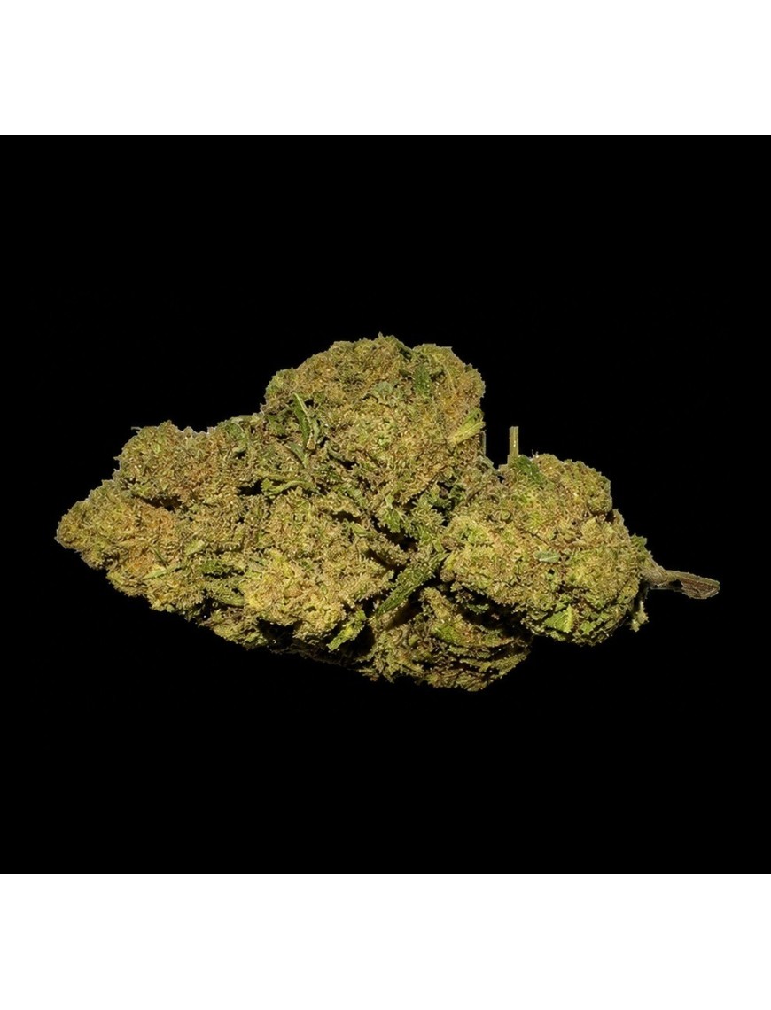 Amnésia Gold 15% CBD