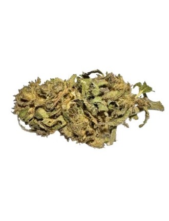 Bubba Jack 6% CBD