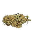 Bubba Jack 6% CBD