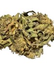 Bubba Jack 6% CBD