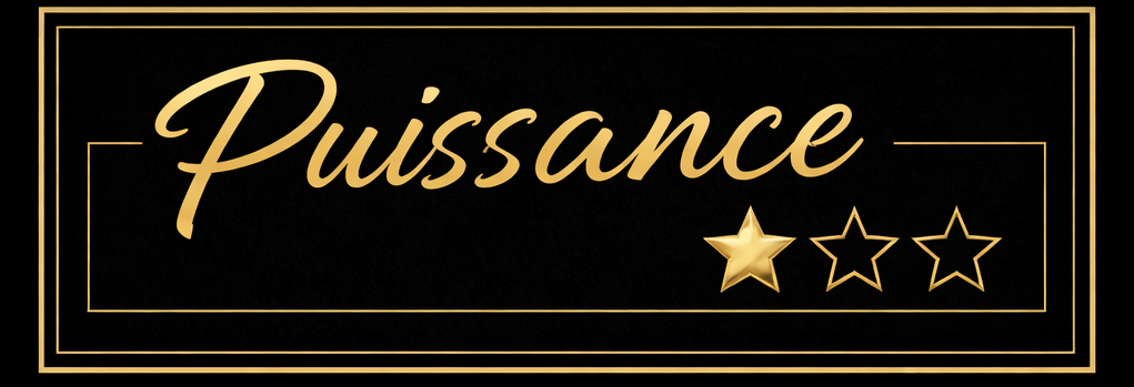 Puissance1.png